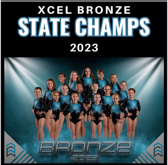 Xcel Bronze State Champs